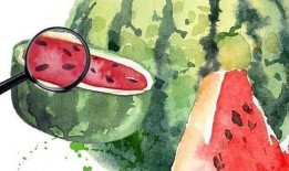 吃瓜人生全集免费,揭秘娱乐圈背后的秘密与真相